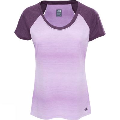 Top The North Face Manga Corta Adventuress Mujer Moradas - Chile AHI365174